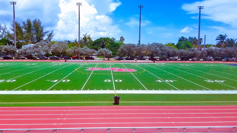 The field of Flamingo Park