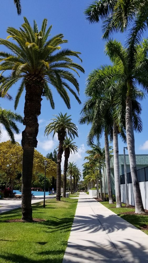 A paved pathway at Flamingo Park