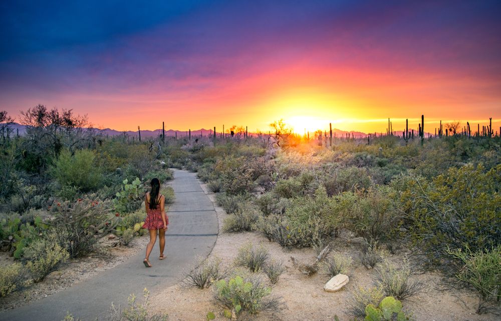 A girl hiking at Saguaro National Park West