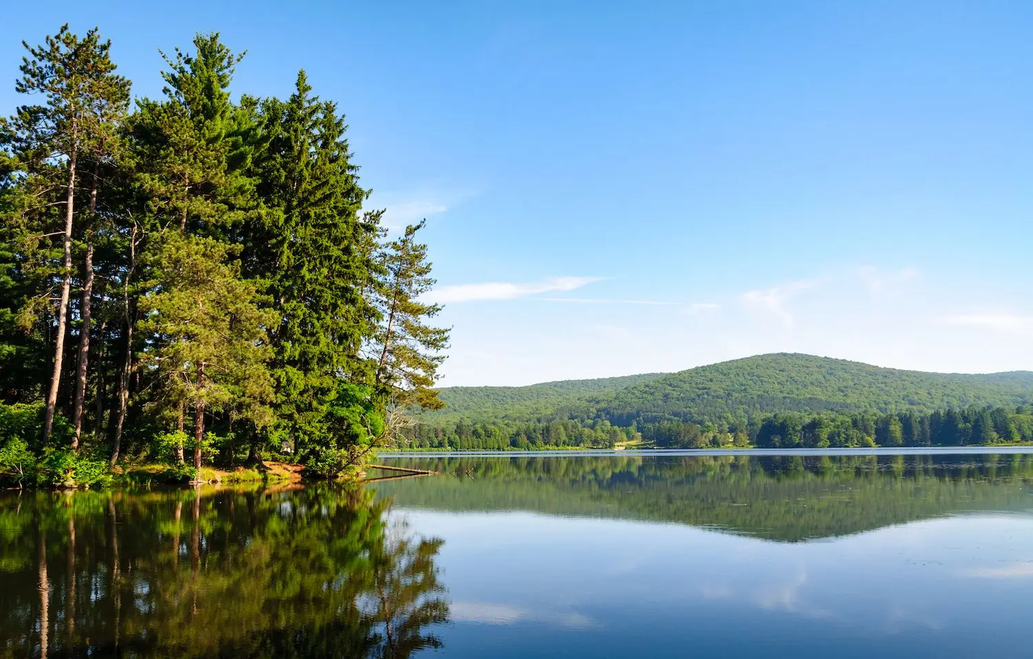 15 Best Things to Do in Salamanca, NY