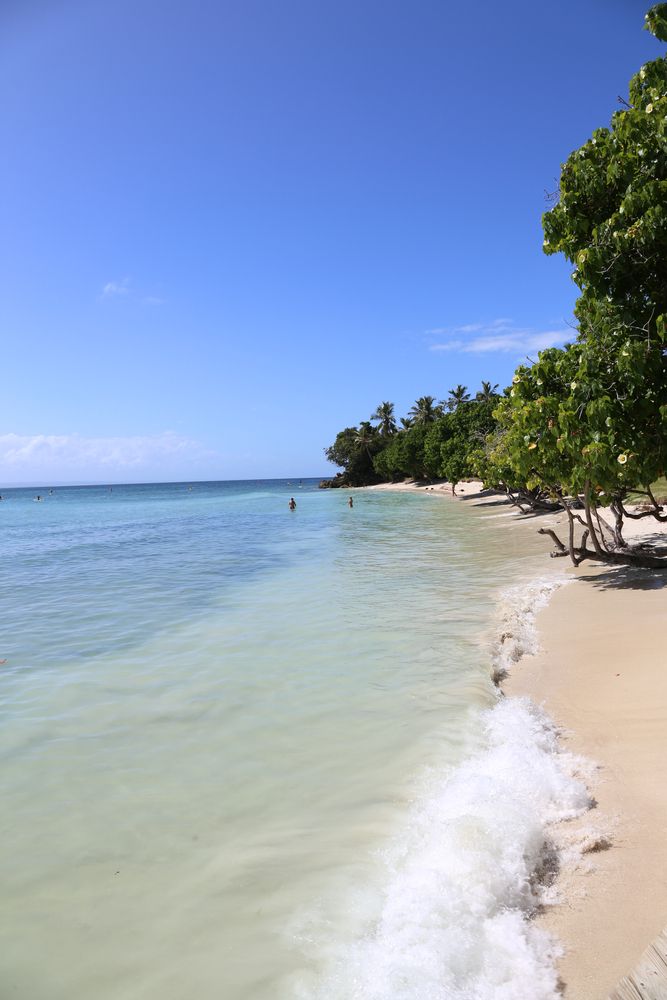 Samana Bacardi Island