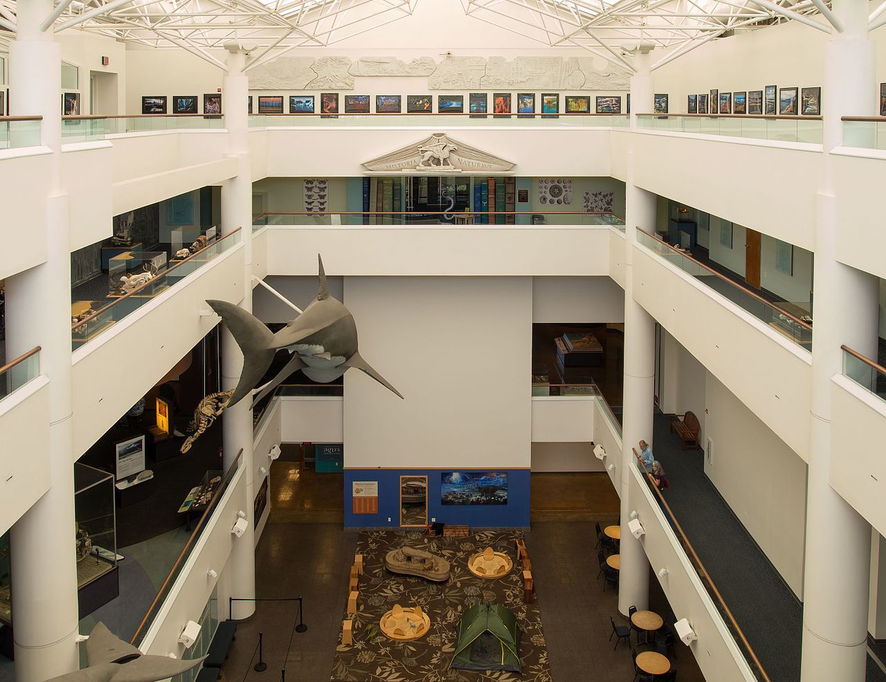 Interior view of the San Diego National History Museum