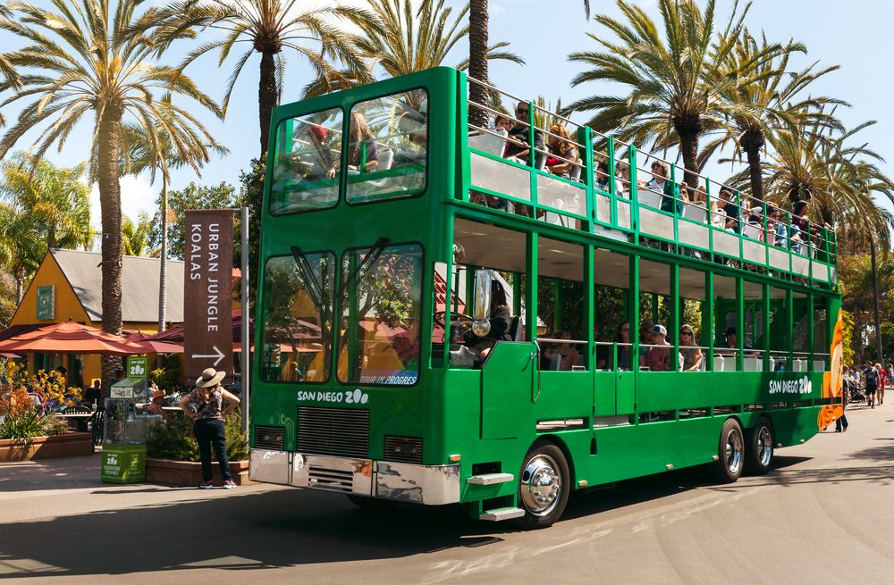 Bus Safari at San Diego Zoo