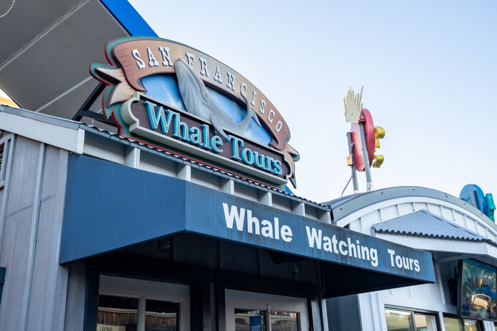 Outside view of San Francisco Whale Tours