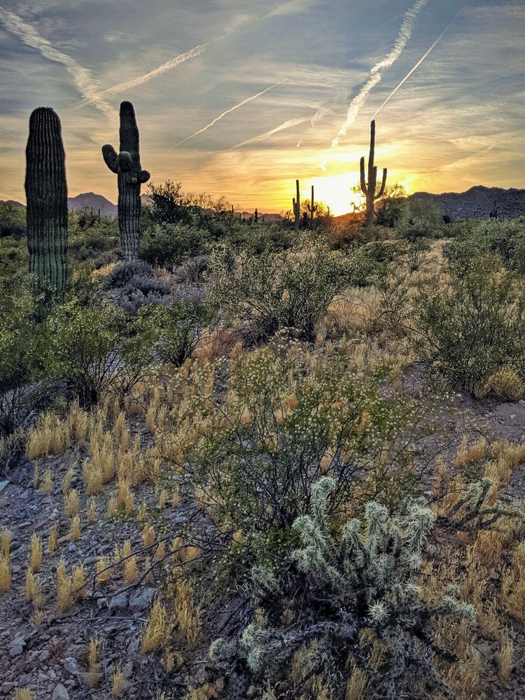 Sunset at San Tan Mountain Regional Park