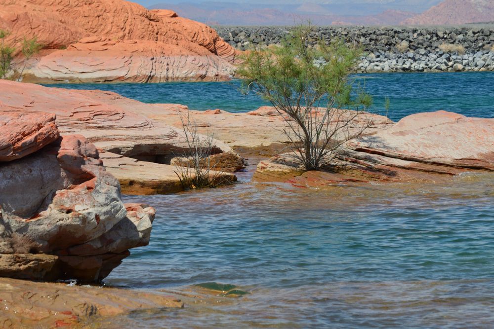 Waterbody at Sand Hollow State Park