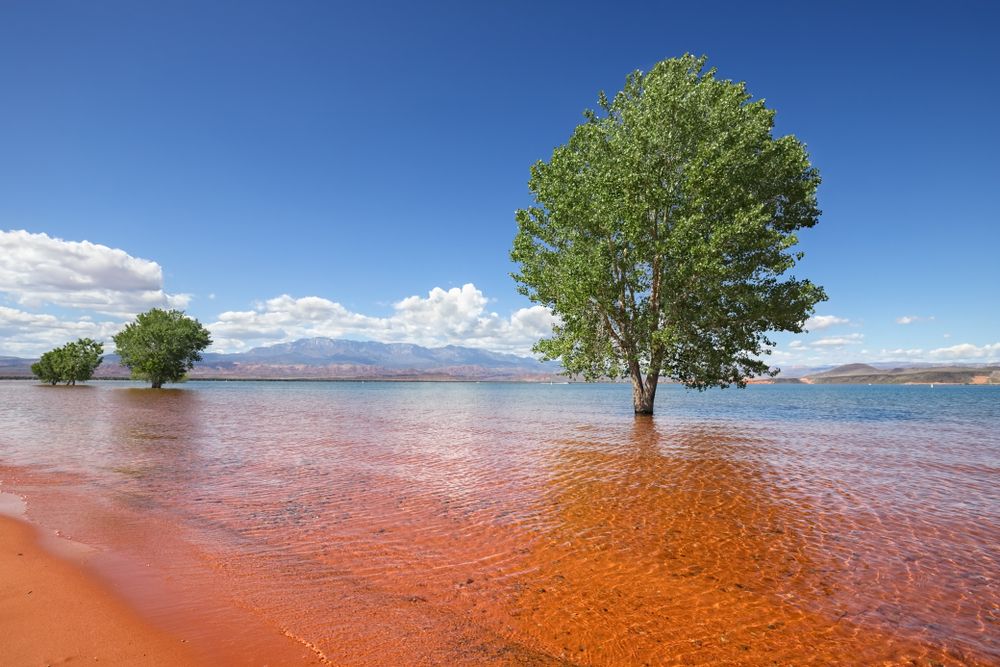 Scenic view of Sand Hollow State Park