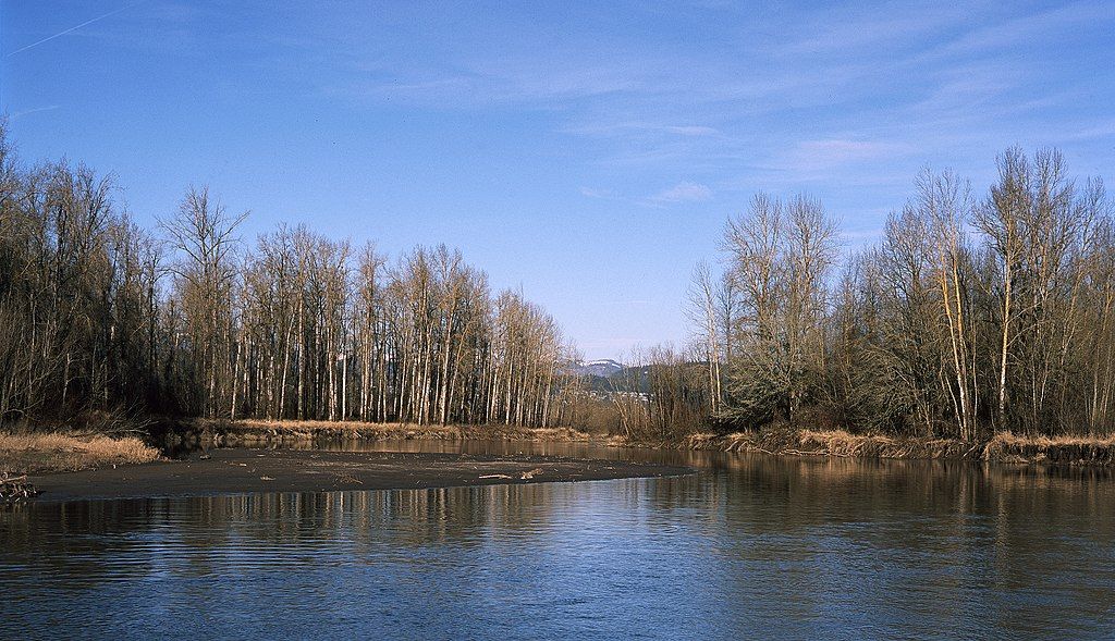 Serene water at Sandy River Delta