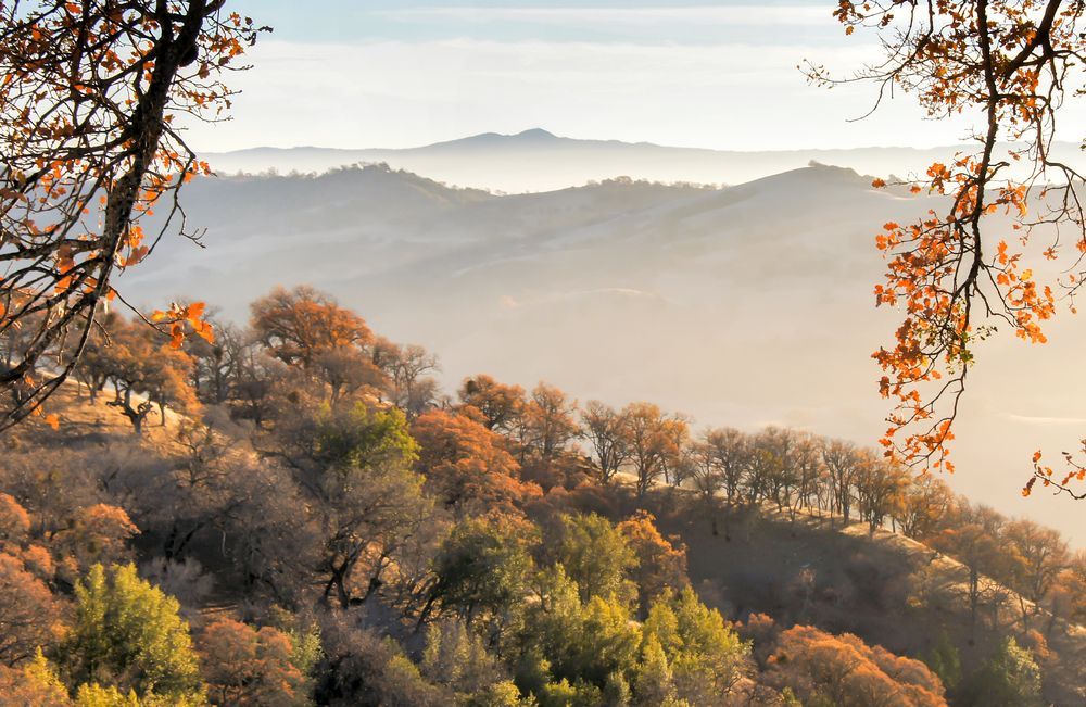 Santa Cruz Mountains during sunrise