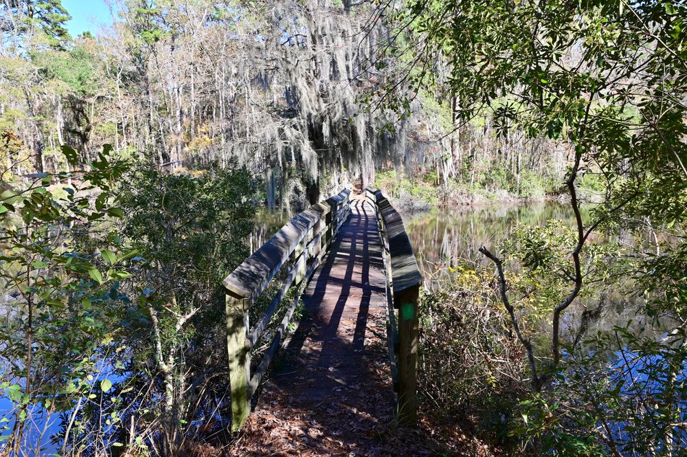 Footbridge at Santee State Park Hiking