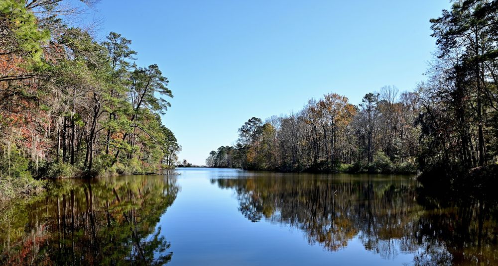 Trees surrounding the waters of Santee State Park Hiking