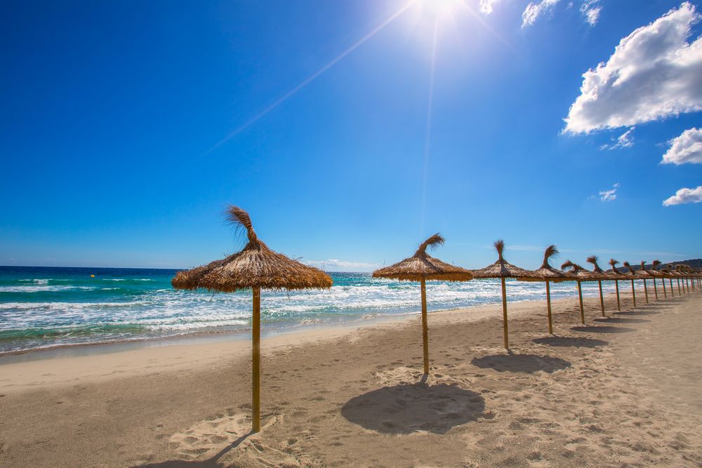 Daytime view of Santo Tomas beach