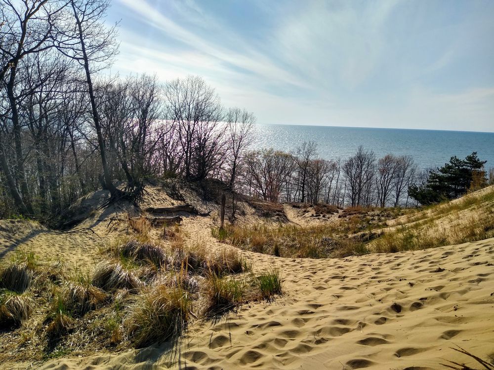 View of Saugatuck Dune