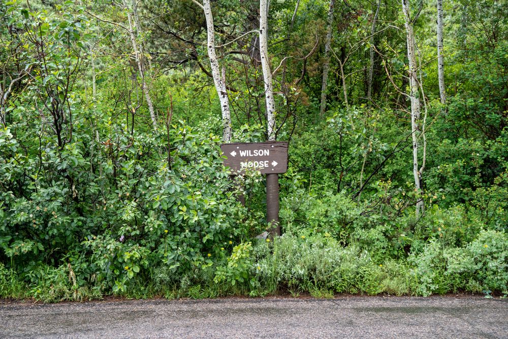 Direction of Moose-Wilson at Wyoming Highway 390