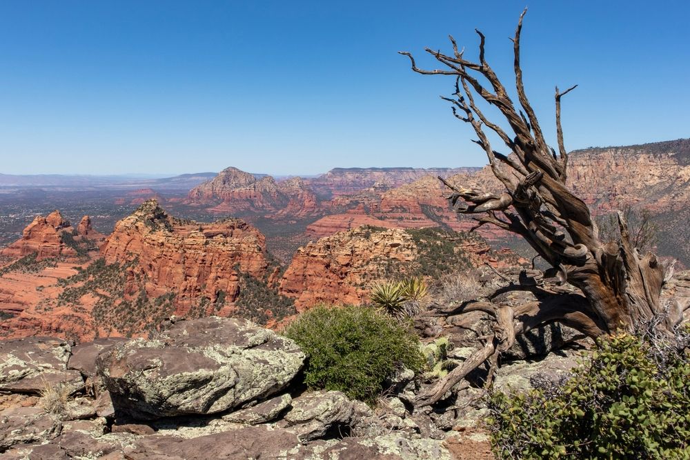 Stunning Sights at Schnebly Hill Vista Overlook