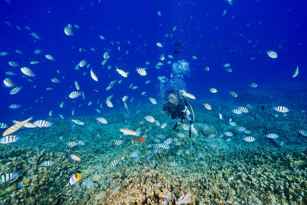 Scuba Diving in Guam
