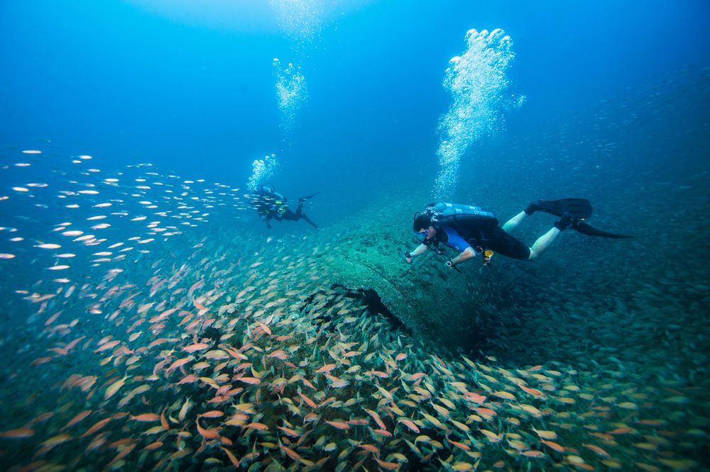 Scuba diving in Beaufort