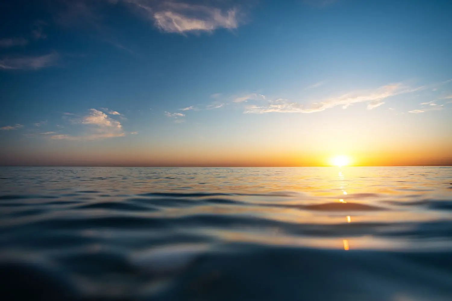 15 Best Things to Do in Sea Island, GA
