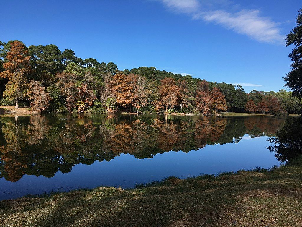 View of Sea Pines Forest Preserve