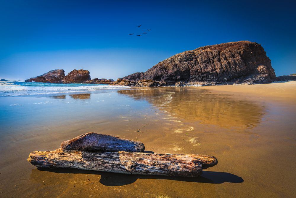 Scenic view of Seal Rock State Recreation Site