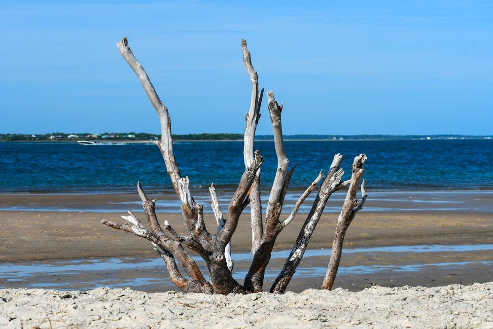 Sunny day at Shackleford Banks