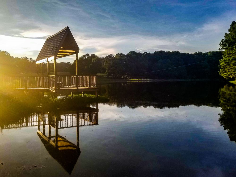 View of Shelby Farms Park