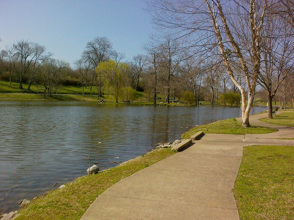 View of the Shelby Park