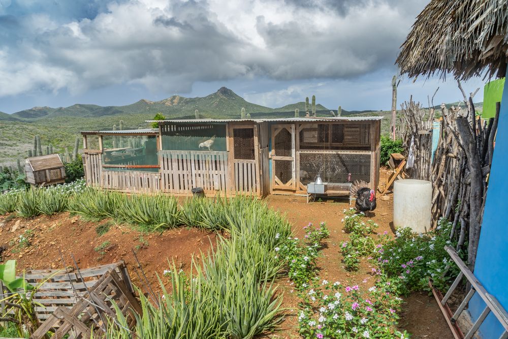 Farm at Shelterrock Paradise