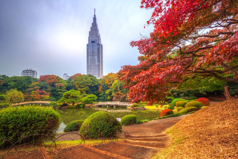 Shinjuku Central Park