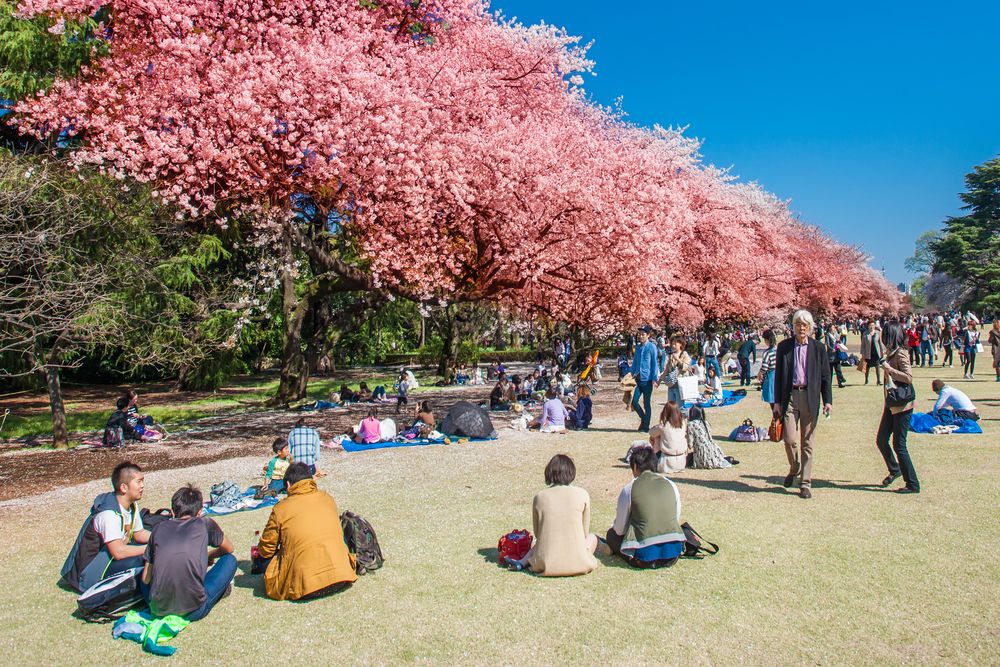 Shinjuku Gyoen National Garden