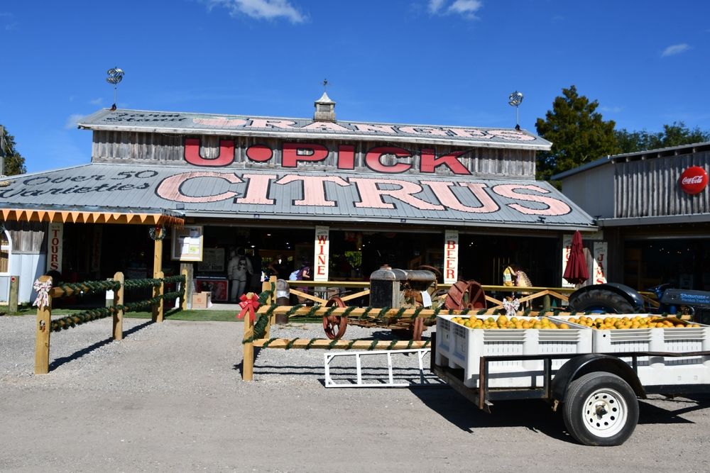 View of the Showcase of Citrus