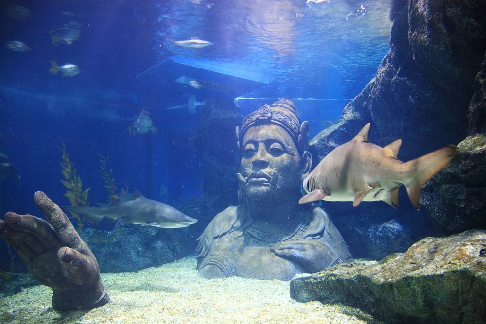 Siam Ocean World Aquarium