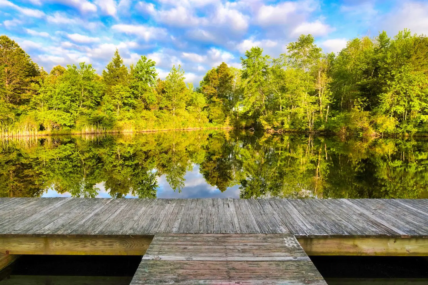 15 Best Things to Do in Sicklerville, NJ