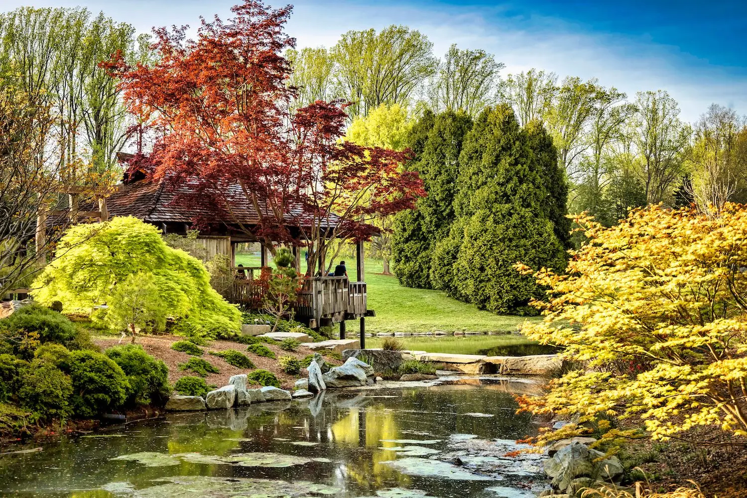 15 Free Things to Do in Silver Spring, MD