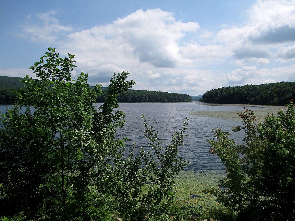 Landscape of Sleepy Creek Wildlife Management Area