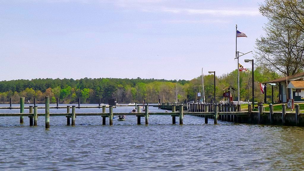 Scenic view of Smallwood State Park