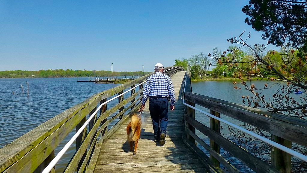 Boardwalk at Smallwood State Park