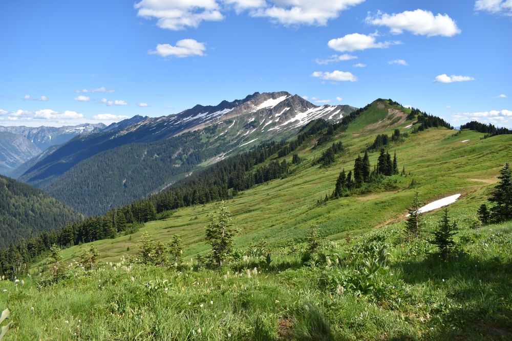 Scenic view of Snoqualmie Valley