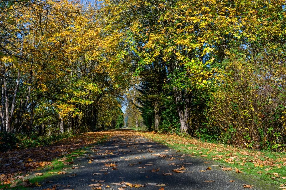 Scenic view of Snoqualmie Valley Trail