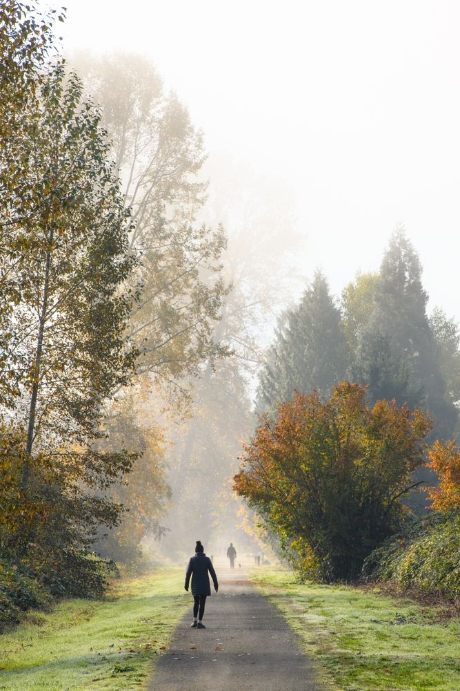 Snoqualmie Valley Trail on a foggy morning