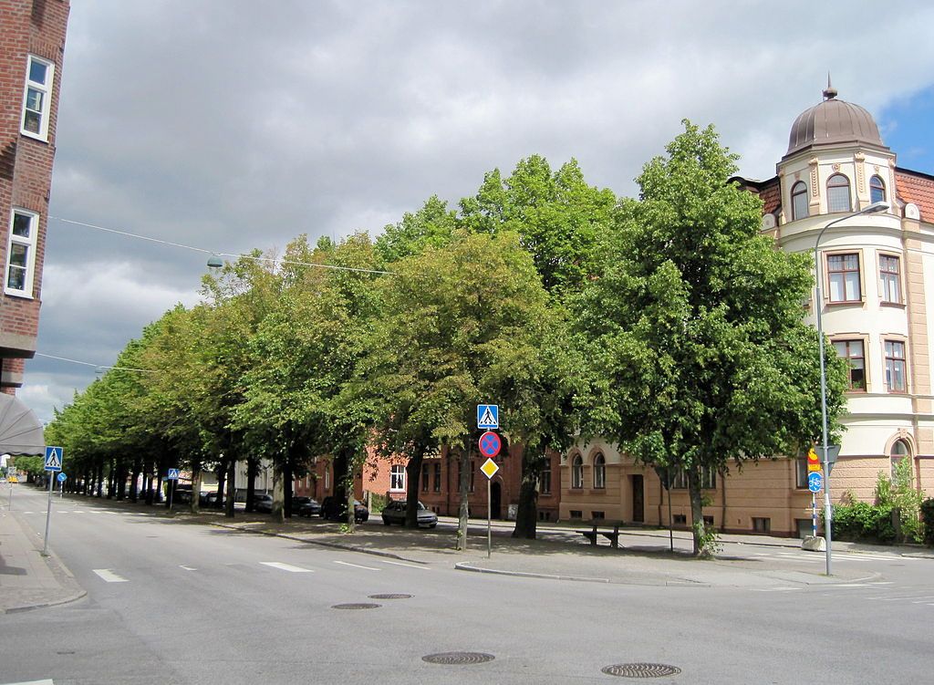 Street view of Sodra Esplanaden