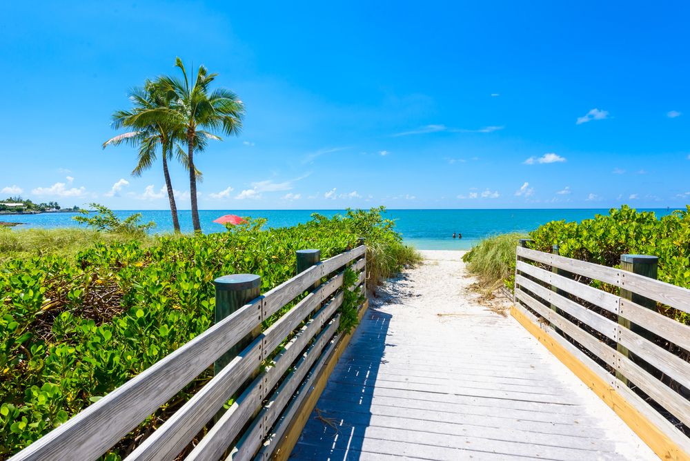 A narrow wooden platform with green plants, white sand and blue water at Sombrero Beach