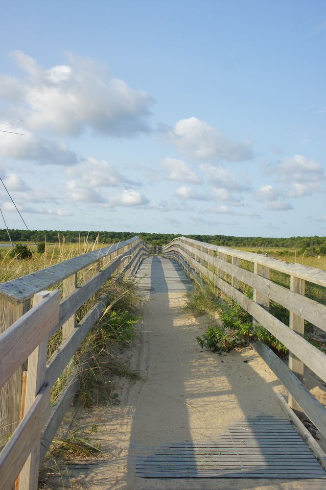 Boardwalk at South Cape Beach State Park