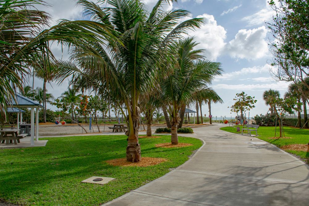 Pathway at South City Beach Park