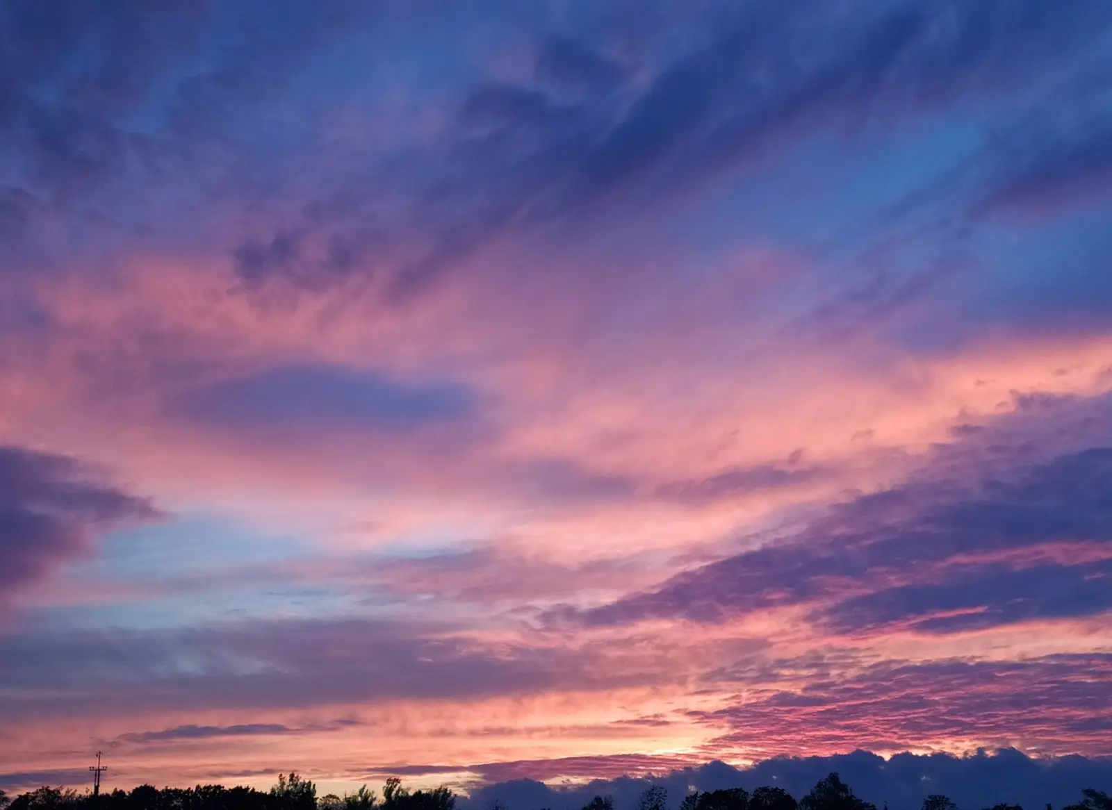 15 Best Things to Do in South Hill, WA