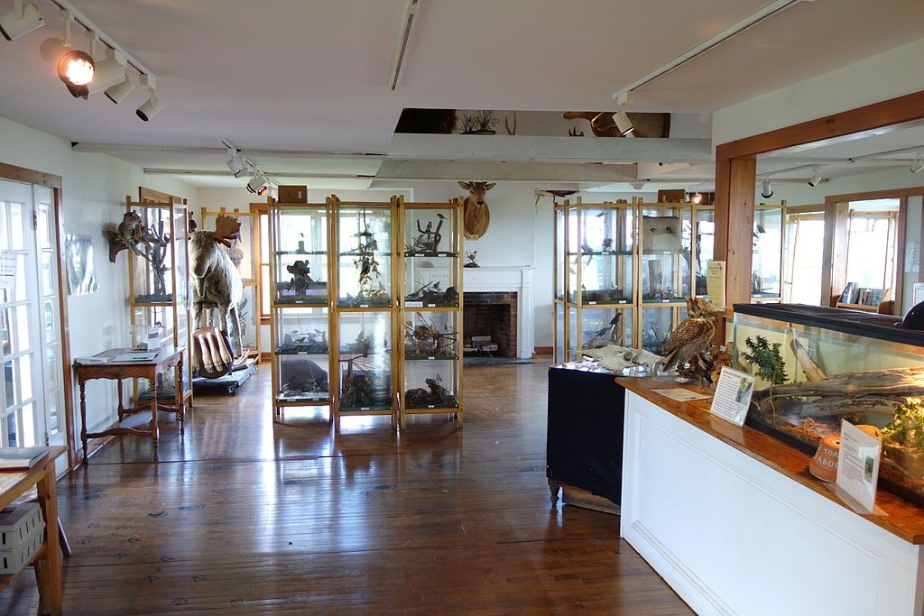 Exhibits at Southern Vermont Natural History Museum
