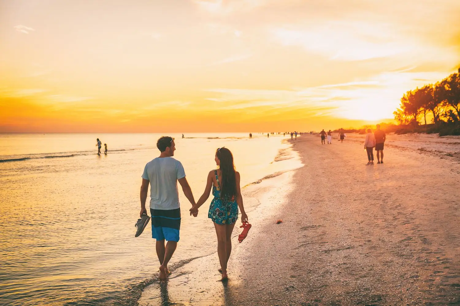 20 Best Things to do in Southwest Florida