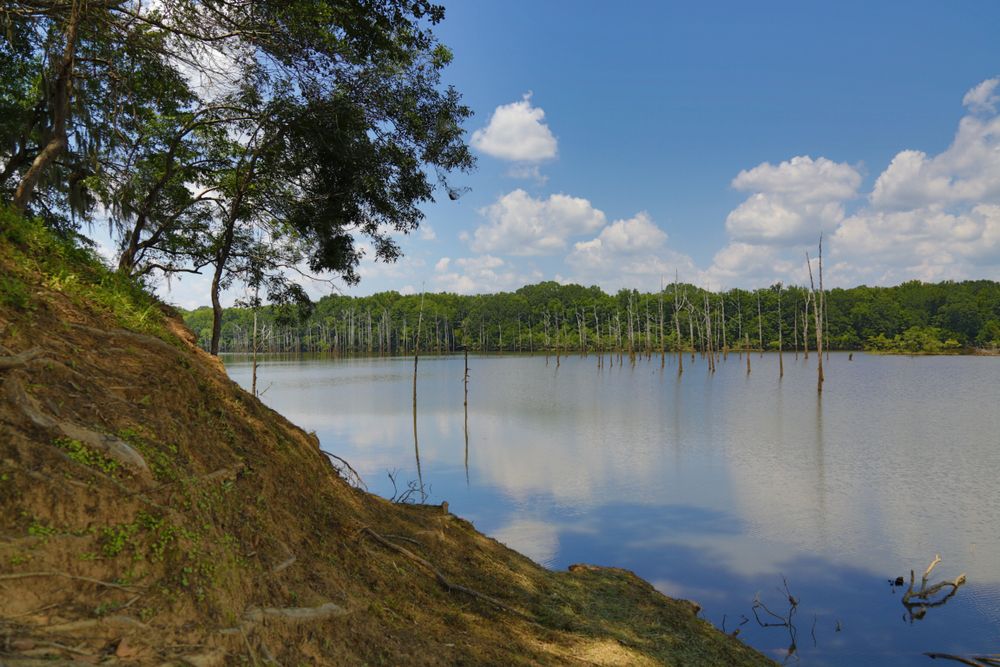 Waters of Spectre, Alabama
