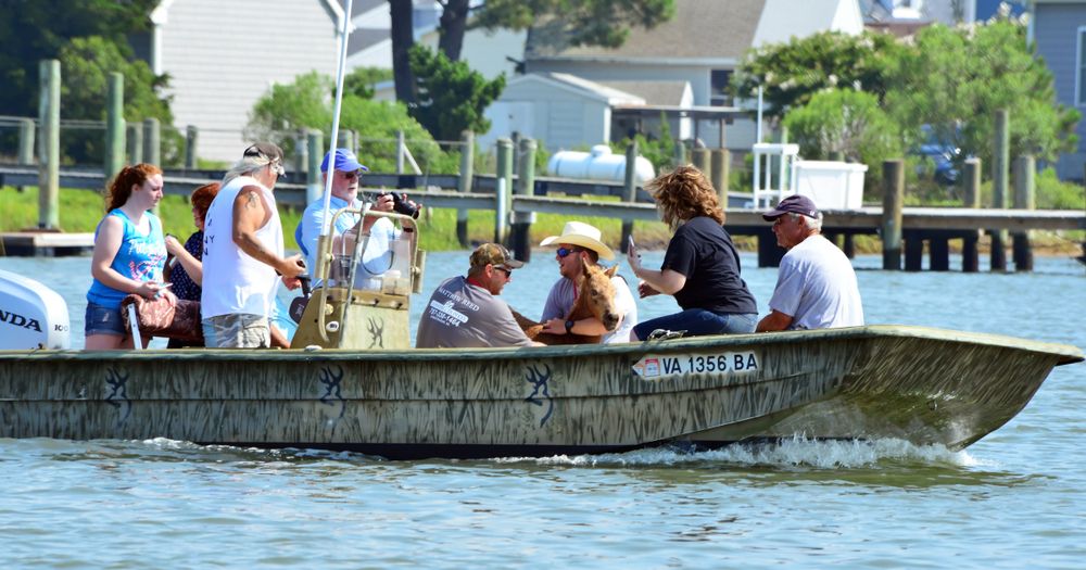 Boat ride in Chincoteague