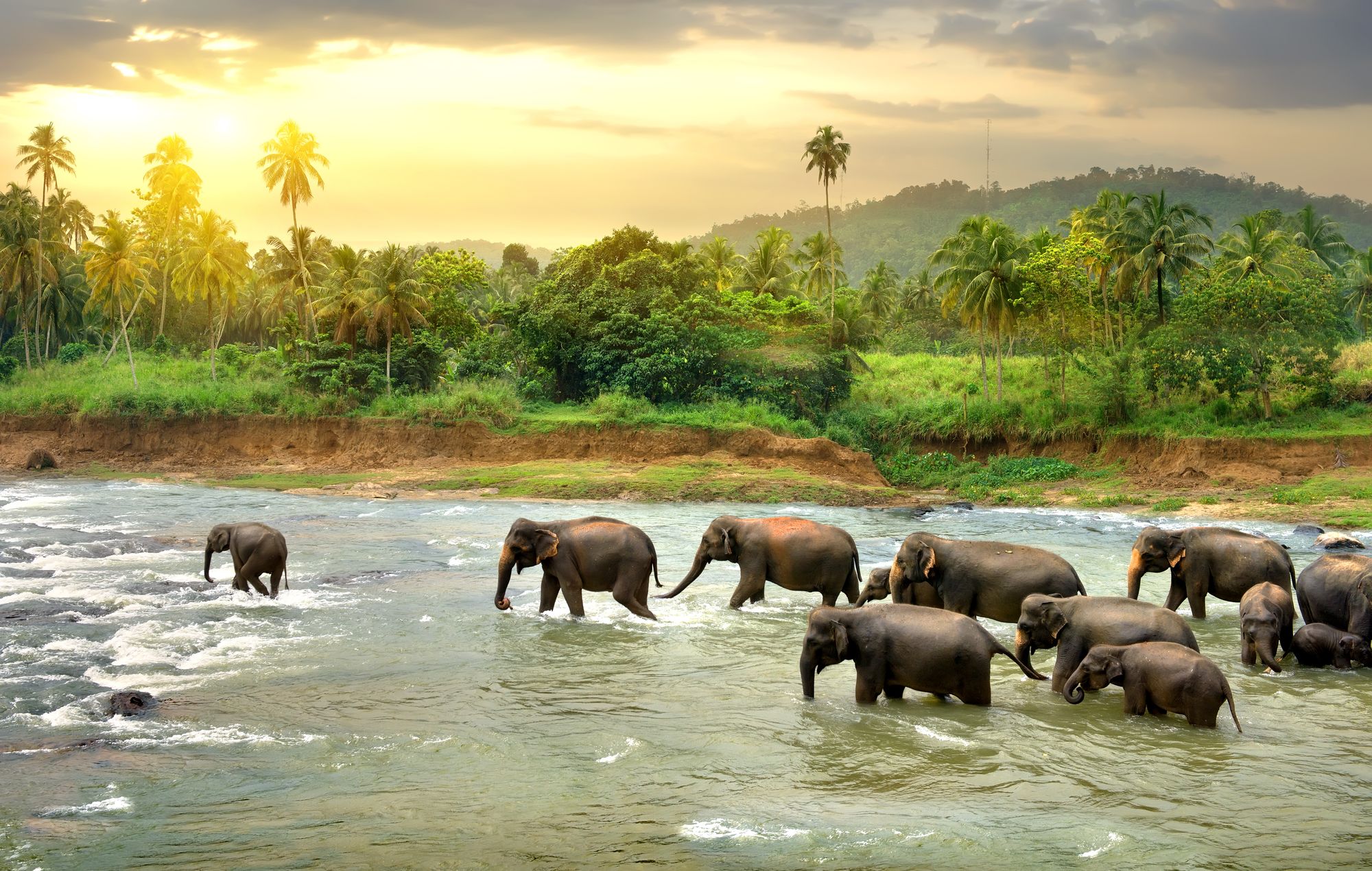 **Sri Lanka: A Tropical Paradise That Won’t Break The Bank